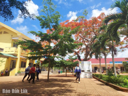 Dạy học 2 buổi/ngày không được gây áp lực cho học sinh, giáo viên, phụ huynh