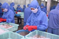 Thuế quan của Mỹ có hiệu lực từ 7-8, doanh nghiệp Việt chủ động thích ứng