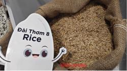 Giá gạo Việt Nam biến động lạ sau lệnh ngưng nhập khẩu của Philippines