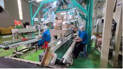 Xuất khẩu gạo không suôn sẻ