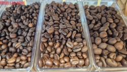 Giá cà phê hôm nay 16-9: Tăng như mơ