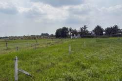 Mong chờ giảm tiền sử dụng đất