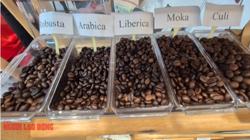 Giá cà phê hôm nay 17-9: Giảm nhẹ, cà phê Brazil khó sang Mỹ, đổ sang EU