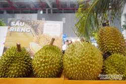 'Đòn bẩy vàng' EVFTA không dành cho doanh nghiệp lơ là tuân thủ