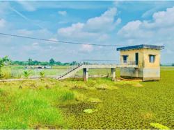 Đắk Lắk: Bất an với nguồn nước sinh hoạt ô nhiễm