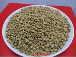 Giá cà phê hôm nay 22-9: Có tăng trở lại?