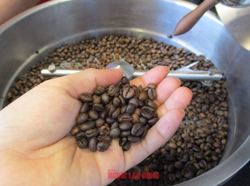 Giá cà phê hôm nay 23-9: Bật tăng 3 con số
