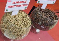 Giá cà phê hôm nay 25-9: Arabica, Robusta quay đầu tăng vọt