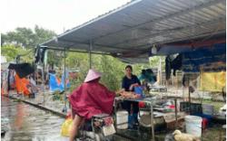 Khẩn trương hoàn thiện và triển khai hiệu quả chủ trương xóa bỏ việc khoán thuế