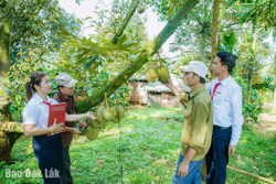 Thêm trợ lực cho “Tam nông”