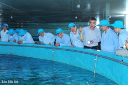 Đắk Lắk có một cá nhân được tôn vinh “Nhà khoa học của nhà nông” năm 2025