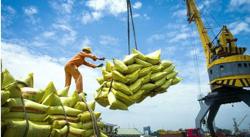 Bảo vệ nông dân trước cú sốc thị trường