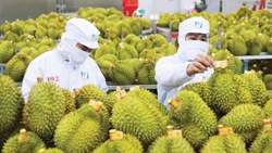 Thủ tướng yêu cầu truy xuất nguồn gốc chất lượng nông lâm, thủy sản xuất khẩu