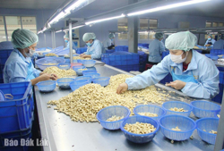 Mở đường cho khởi nghiệp, đổi mới sáng tạo