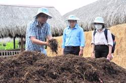 Phê duyệt Đề án trồng trọt giảm phát thải giai đoạn 2025 - 2035