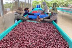 Xuất khẩu tăng tốc, hàng loạt ngành cán mốc tỷ USD