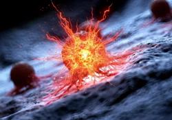 Một nhóm thuốc thông dụng có thể là vũ khí chống ung thư mới