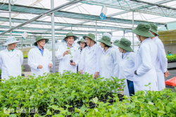 Để chanh dây rộng đường xuất khẩu chính ngạch