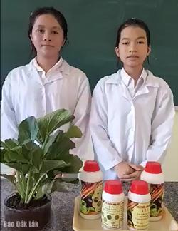 Học sinh điều chế thuốc trừ sâu sinh học