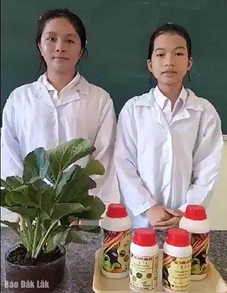 Học sinh điều chế thuốc trừ sâu sinh học