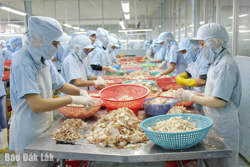 Xuất khẩu - một năm vượt kỳ vọng