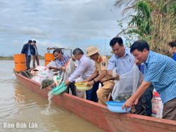 Tạo sinh kế từ tái tạo nguồn lợi thủy sản
