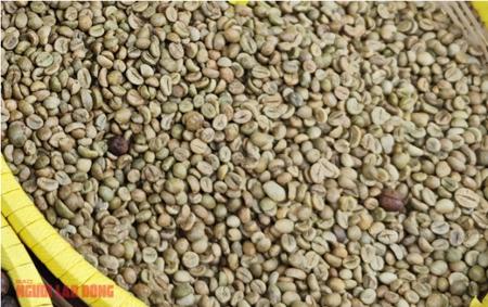 Giá cà phê hôm nay 14-1: Tăng đồng loạt, Brazil xuất khẩu giảm sâu