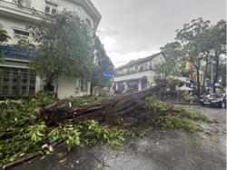 Dự báo thiên tai 2026: Ít bão nhưng khó lường, rủi ro vẫn cao