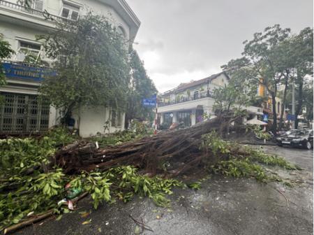 Dự báo thiên tai 2026: Ít bão nhưng khó lường, rủi ro vẫn cao