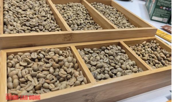 Giá cà phê hôm nay 15-1: Robusta ồ ạt ra thị trường
