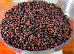 Xuất khẩu hạt tiêu và gia vị vượt 2 tỷ USD