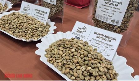 Giá cà phê hôm nay 16-1: Tăng 4 phiên liên tục, Robusta vượt mốc 4.000 USD/tấn