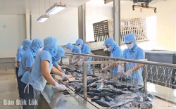 Động lực phát triển từ cải cách môi trường kinh doanh