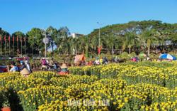 Tổ chức nhiều hoạt động đón Tết Nguyên đán Bính Ngọ