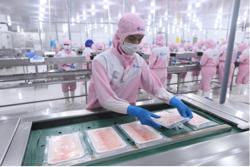 Xuất khẩu thủy sản năm 2026: Đối mặt nhiều thách thức