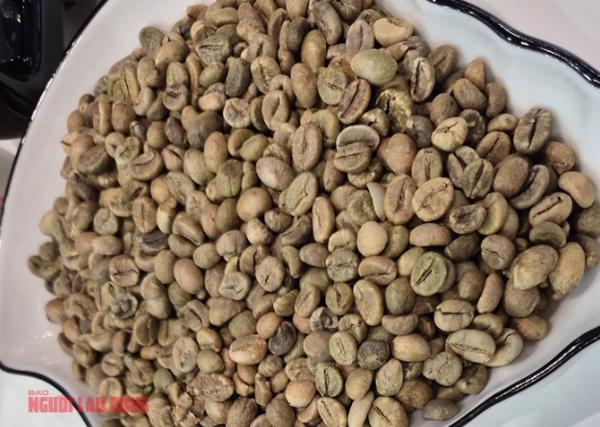 Giá cà phê hôm nay 20-1: Tăng nhẹ