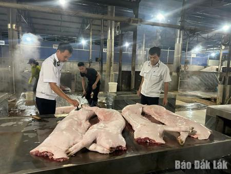 Tăng cường kiểm soát giết mổ, bảo đảm an toàn thực phẩm dịp Tết Nguyên đán Bính Ngọ 2026