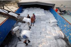 Dự kiến xuất khẩu gần 8 triệu tấn gạo, Bộ Nông nghiệp và Môi trường có động thái mới