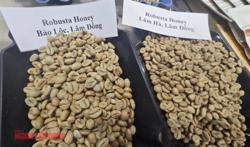 Giá cà phê hôm nay 22-1: Robusta bất ngờ tăng 3 con số