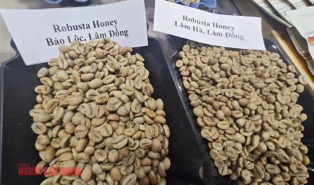 Giá cà phê hôm nay 22-1: Robusta bất ngờ tăng 3 con số