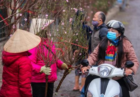 Dự báo thời tiết ấm duy trì đến hết tháng 1