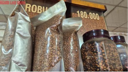 Giá cà phê hôm nay 23-1: Lại đi lùi, mong manh mốc 100.000 đồng/kg