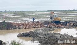 83,7% diện tích cây trồng được bảo đảm tưới nước