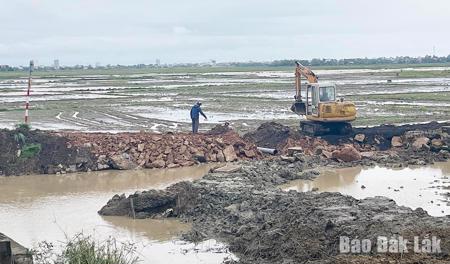 83,7% diện tích cây trồng được bảo đảm tưới nước