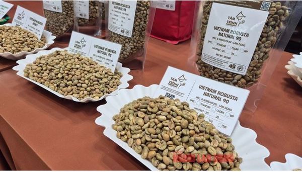 Giá cà phê hôm nay 24-1: Quay lại đà tăng 3 con số với Robusta