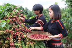 Khẳng định vị thế trụ cột nền kinh tế