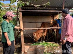 Nỗ lực giảm nghèo bền vững