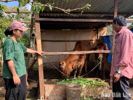 Nỗ lực giảm nghèo bền vững