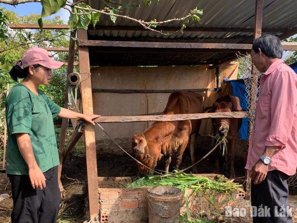 Nỗ lực giảm nghèo bền vững