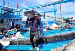 Dư địa lớn nhưng còn nhiều thách thức